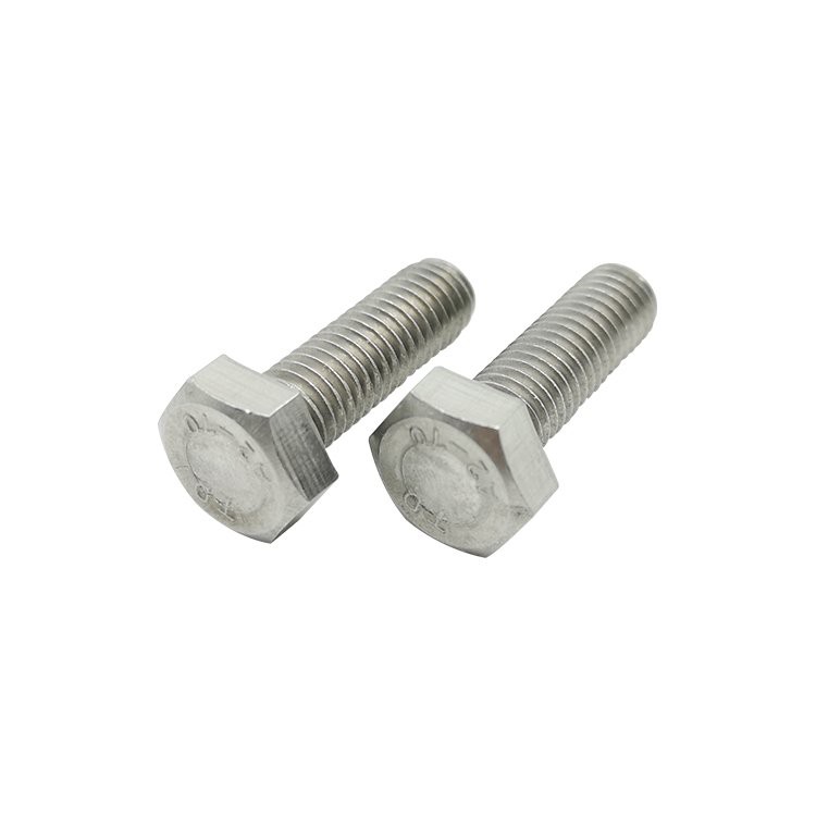 Stainless Steel Hex Bolts