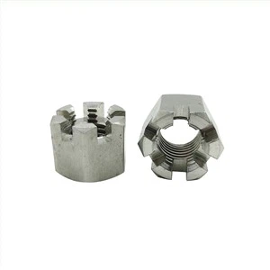 Hexagon Slotted Nuts